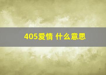 405爱情 什么意思